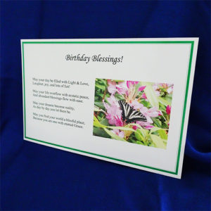 Beautiful Butterfly Postcard